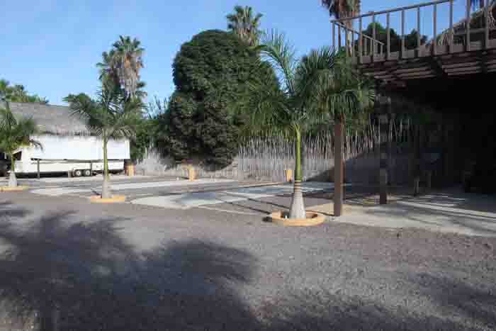 These are the easy-to-park sites.  Isn't that huge mango tree amazing?